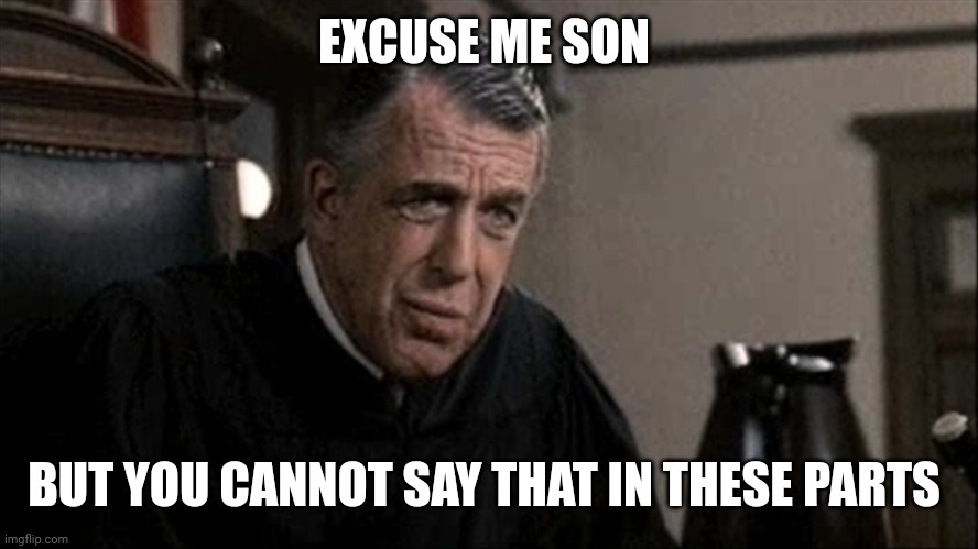 My cousin vinny judge | EXCUSE ME SON BUT YOU CANNOT SAY THAT IN THESE PARTS | image tagged in my cousin vinny judge | made w/ Imgflip meme maker