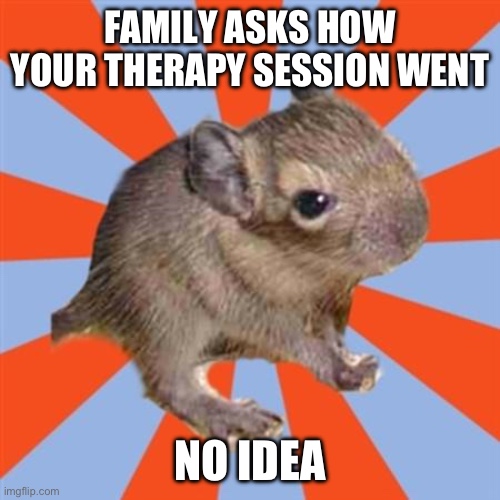 FAMILY ASKS HOW YOUR THERAPY SESSION WENT. NO IDEA | FAMILY ASKS HOW YOUR THERAPY SESSION WENT; NO IDEA | image tagged in dissociative degu,dissociative amnesia,dissociative identity disorder,osdd,did system,therapy | made w/ Imgflip meme maker