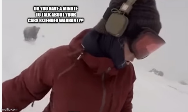 pushy salesbear | DO YOU HAVE A MINUTE TO TALK ABOUT YOUR CARS EXTENDED WARRANTY? | image tagged in bears,salesman,extended warranty | made w/ Imgflip meme maker