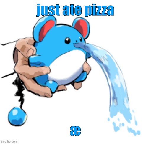 Marill 5 | just ate pizza; æ | image tagged in marill 5 | made w/ Imgflip meme maker