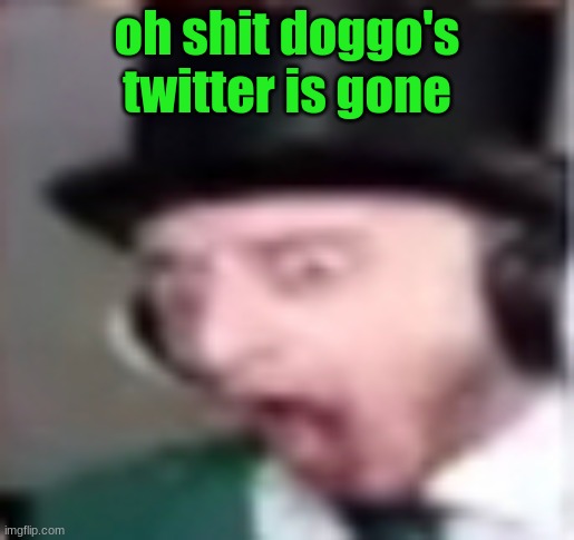 suprised | oh shit doggo's twitter is gone | image tagged in suprised | made w/ Imgflip meme maker