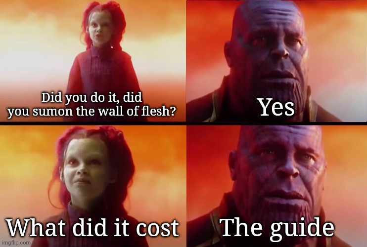 thanos what did it cost | Did you do it, did you sumon the wall of flesh? Yes; What did it cost; The guide | image tagged in thanos what did it cost | made w/ Imgflip meme maker