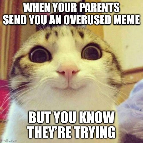 Smiling Cat | WHEN YOUR PARENTS SEND YOU AN OVERUSED MEME; BUT YOU KNOW THEY’RE TRYING | image tagged in memes,smiling cat | made w/ Imgflip meme maker