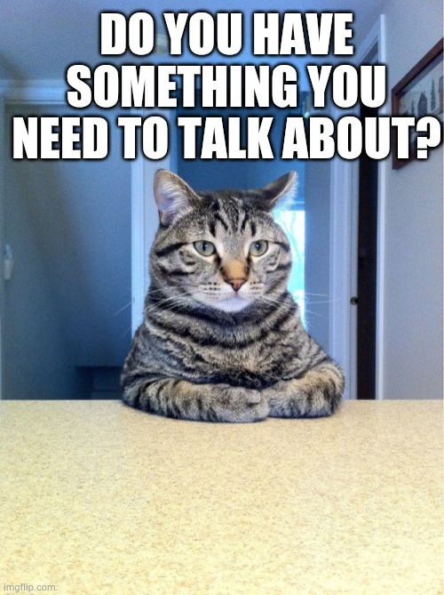 Take A Seat Cat Meme | DO YOU HAVE SOMETHING YOU NEED TO TALK ABOUT? | image tagged in memes,take a seat cat | made w/ Imgflip meme maker