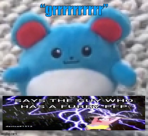 Marill 6 | “grrrrrrrrrr” | image tagged in marill 6 | made w/ Imgflip meme maker