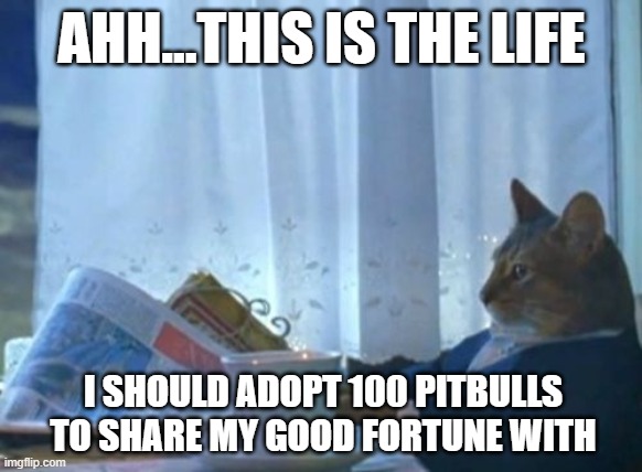 Lookin' at you, France | AHH...THIS IS THE LIFE; I SHOULD ADOPT 100 PITBULLS TO SHARE MY GOOD FORTUNE WITH | image tagged in memes,i should buy a boat cat | made w/ Imgflip meme maker