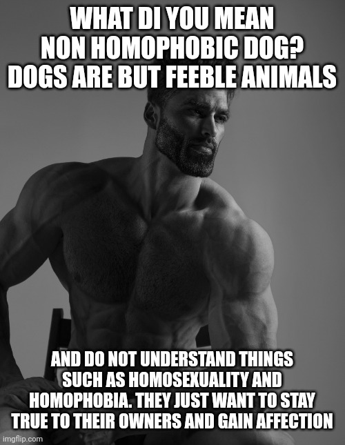 Giga Chad | WHAT DI YOU MEAN NON HOMOPHOBIC DOG? DOGS ARE BUT FEEBLE ANIMALS AND DO NOT UNDERSTAND THINGS SUCH AS HOMOSEXUALITY AND HOMOPHOBIA. THEY JUS | image tagged in giga chad | made w/ Imgflip meme maker