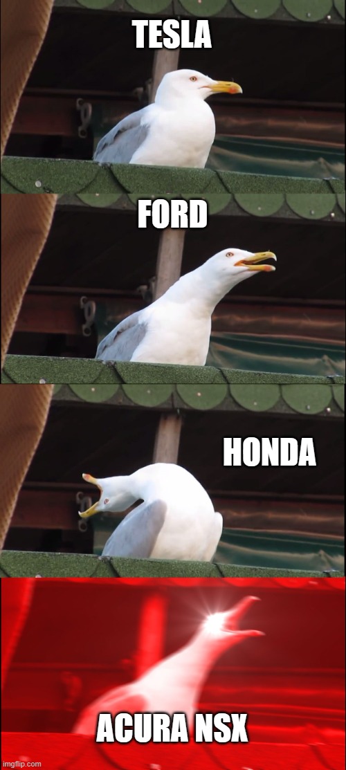 Inhaling Seagull | TESLA; FORD; HONDA; ACURA NSX | image tagged in memes,inhaling seagull | made w/ Imgflip meme maker