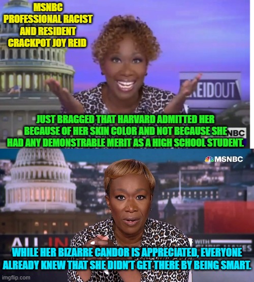 Some things don't NEED to be confessed. | MSNBC PROFESSIONAL RACIST AND RESIDENT CRACKPOT JOY REID; JUST BRAGGED THAT HARVARD ADMITTED HER BECAUSE OF HER SKIN COLOR AND NOT BECAUSE SHE HAD ANY DEMONSTRABLE MERIT AS A HIGH SCHOOL STUDENT. WHILE HER BIZARRE CANDOR IS APPRECIATED, EVERYONE ALREADY KNEW THAT SHE DIDN’T GET THERE BY BEING SMART. | image tagged in yep | made w/ Imgflip meme maker