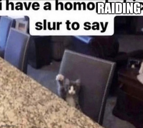 i have a homophobic slur to say | RAIDING | image tagged in i have a homophobic slur to say | made w/ Imgflip meme maker