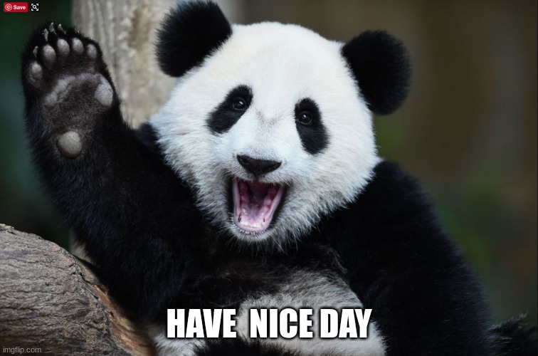 Have a nice day | HAVE  NICE DAY | image tagged in have a nice day | made w/ Imgflip meme maker