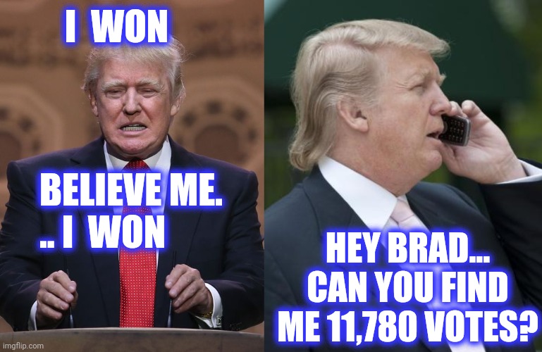 I  WON BELIEVE ME.
.. I  WON HEY BRAD... CAN YOU FIND ME 11,780 VOTES? | image tagged in donald trump,trump on the phone | made w/ Imgflip meme maker
