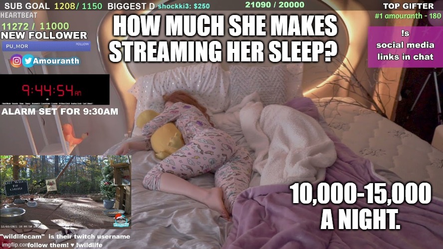 Sleep is good for you! | HOW MUCH SHE MAKES STREAMING HER SLEEP? 10,000-15,000 A NIGHT. | image tagged in sleeping,sleeping beauty | made w/ Imgflip meme maker