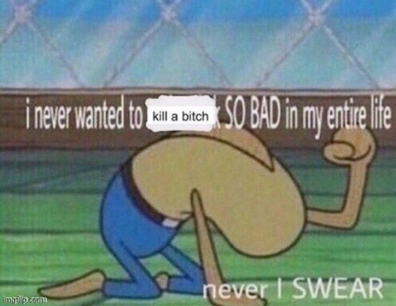 i never wanted to kill a bitch so bad in my entire life | image tagged in i never wanted to kill a bitch so bad in my entire life | made w/ Imgflip meme maker