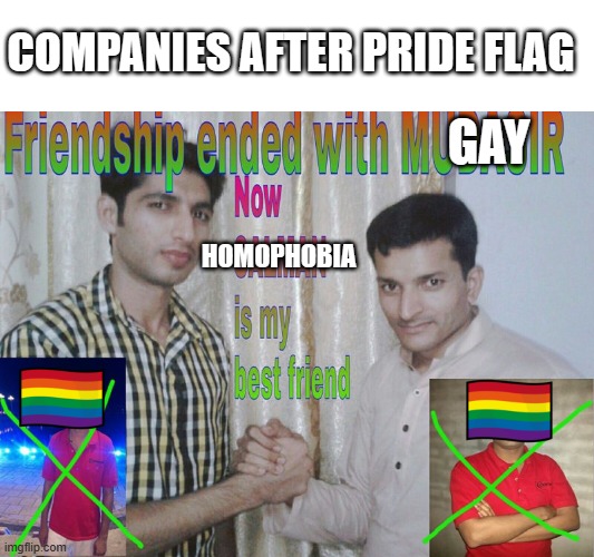 (SF note: yeah pretty much lol) | COMPANIES AFTER PRIDE FLAG; GAY; HOMOPHOBIA | image tagged in friendship ended | made w/ Imgflip meme maker