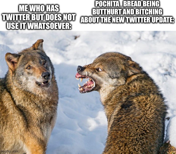 Confused vs angry wolf | POCHITA_BREAD BEING BUTTHURT AND BITCHING ABOUT THE NEW TWITTER UPDATE;; ME WHO HAS TWITTER BUT DOES NOT USE IT WHATSOEVER: | image tagged in confused vs angry wolf | made w/ Imgflip meme maker