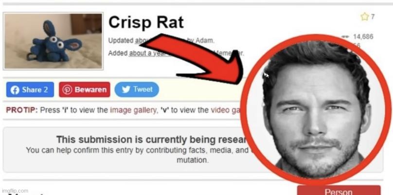crisp rat | made w/ Imgflip meme maker