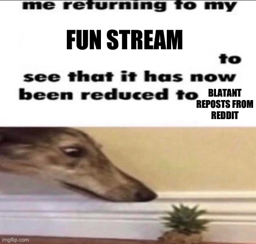There is a repost from reddit on the front page of fun lmao | FUN STREAM; BLATANT REPOSTS FROM REDDIT | made w/ Imgflip meme maker