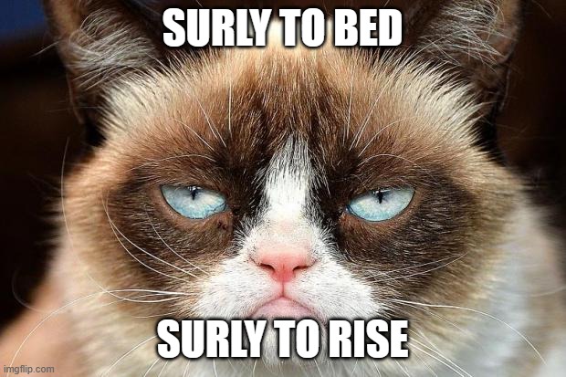 Grumpy Cat Not Amused Meme | SURLY TO BED; SURLY TO RISE | image tagged in memes,grumpy cat not amused,grumpy cat | made w/ Imgflip meme maker