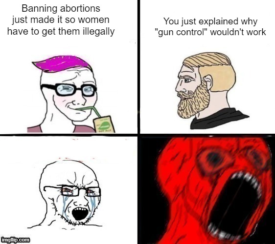 "Facts don't care about your feelings" | Banning abortions just made it so women have to get them illegally; You just explained why "gun control" wouldn't work | made w/ Imgflip meme maker