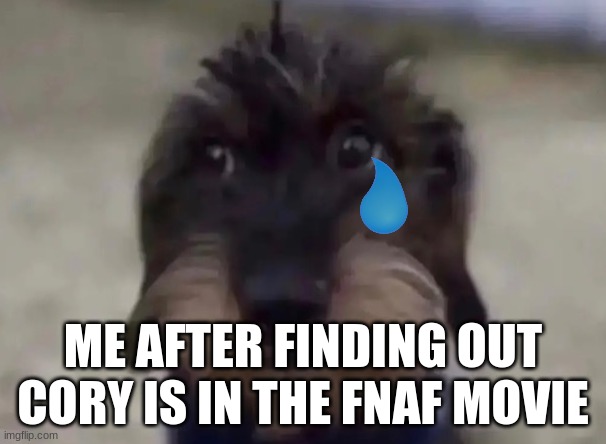 ME AFTER FINDING OUT CORY IS IN THE FNAF MOVIE | image tagged in sad | made w/ Imgflip meme maker