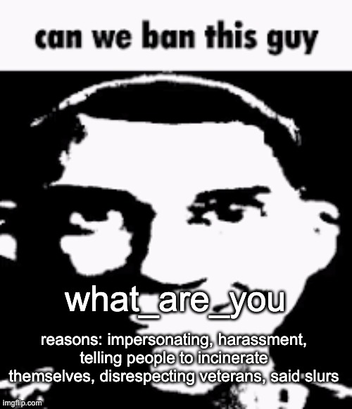Can we ban this guy | what_are_you; reasons: impersonating, harassment, telling people to incinerate themselves, disrespecting veterans, said slurs | image tagged in can we ban this guy | made w/ Imgflip meme maker
