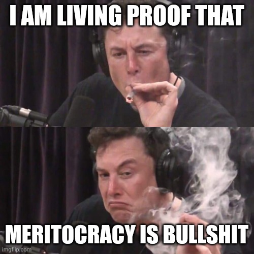 Elon Musk Weed | I AM LIVING PROOF THAT; MERITOCRACY IS BULLSHIT | image tagged in elon musk weed | made w/ Imgflip meme maker