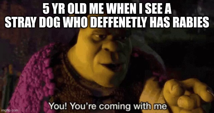Shrek your coming with me | 5 YR OLD ME WHEN I SEE A STRAY DOG WHO DEFFENETLY HAS RABIES | image tagged in shrek your coming with me | made w/ Imgflip meme maker