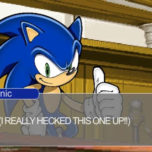 sonic i really hecked this one up | image tagged in sonic i really hecked this one up | made w/ Imgflip meme maker