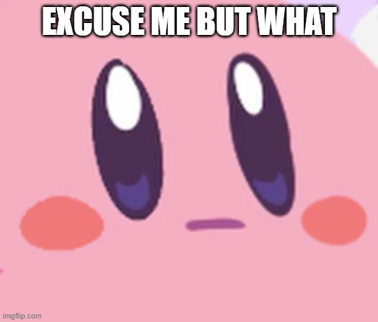 Blank Kirby Face | EXCUSE ME BUT WHAT | image tagged in blank kirby face | made w/ Imgflip meme maker