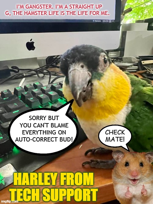 I’M GANGSTER. I’M A STRAIGHT UP G, THE HAMSTER LIFE IS THE LIFE FOR ME. SORRY BUT YOU CAN'T BLAME EVERYTHING ON AUTO-CORRECT BUD! CHECK MATE! HARLEY FROM TECH SUPPORT | made w/ Imgflip meme maker