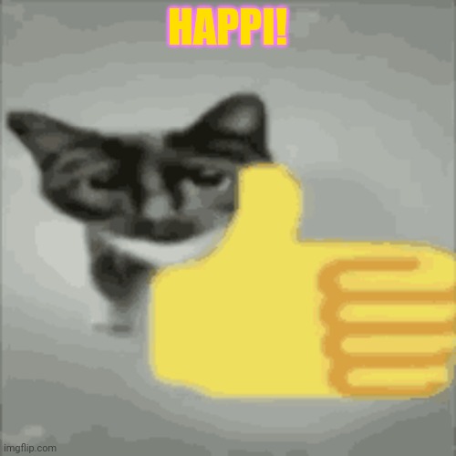 cat thumbs up | HAPPI! | image tagged in cat thumbs up | made w/ Imgflip meme maker
