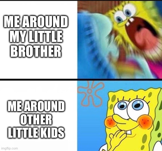 spongebob yelling | ME AROUND MY LITTLE BROTHER; ME AROUND OTHER LITTLE KIDS | image tagged in spongebob yelling | made w/ Imgflip meme maker