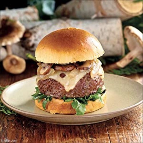 Mooshroom burger | image tagged in mooshroom burger | made w/ Imgflip meme maker