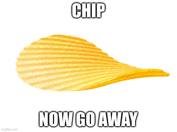 chip | CHIP; NOW GO AWAY | image tagged in chip | made w/ Imgflip meme maker