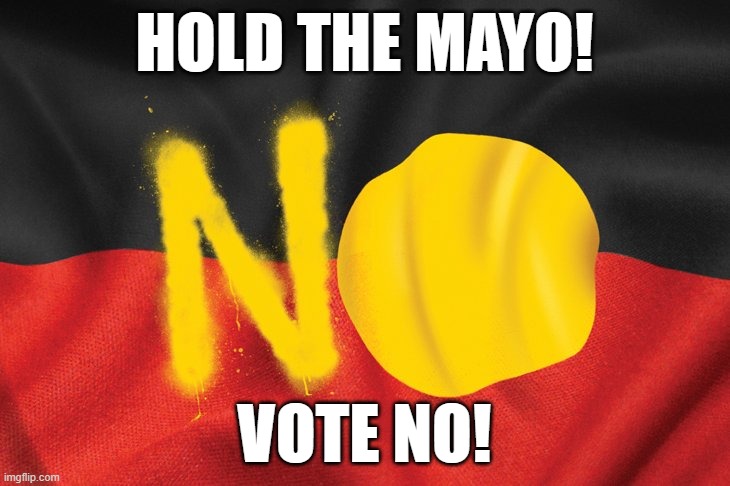 HOLD THE MAYO! VOTE NO! | made w/ Imgflip meme maker