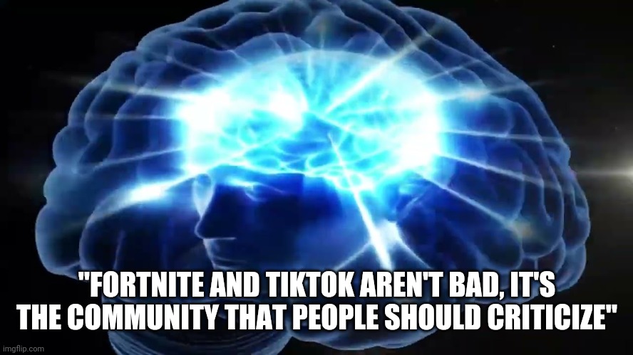 But you didn't have to cut me off | "FORTNITE AND TIKTOK AREN'T BAD, IT'S THE COMMUNITY THAT PEOPLE SHOULD CRITICIZE" | image tagged in but you didn't have to cut me off | made w/ Imgflip meme maker