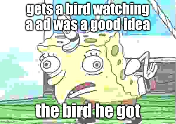 thinking ads are a good idea | gets a bird watching a ad was a good idea; the bird he got | image tagged in memes,mocking spongebob | made w/ Imgflip meme maker