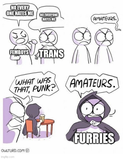 Amateurs | NO EVERY ONE HATES ME; NO EVERYONE HATES ME; FEMBOYS; TRANS; FURRIES | image tagged in amateurs | made w/ Imgflip meme maker