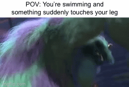 AAAAH WHAT WAS THAT | POV: You’re swimming and something suddenly touches your leg | image tagged in gifs,memes,relatable,funny,swimming,scary | made w/ Imgflip video-to-gif maker