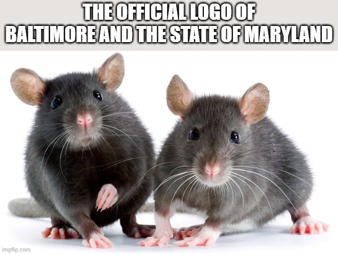 communist Maryland is infested with democratic Rats | THE OFFICIAL LOGO OF BALTIMORE AND THE STATE OF MARYLAND | image tagged in rats,democrats,baltimore,communist | made w/ Imgflip meme maker