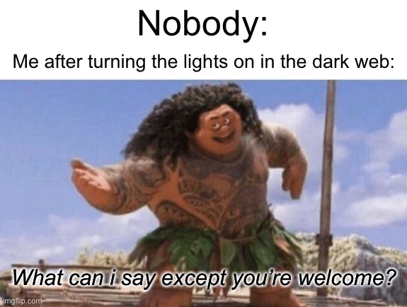 See? What’s so hard? | Nobody:; Me after turning the lights on in the dark web:; What can i say except you’re welcome? | image tagged in what can i say except x,memes,funny,dark web,lights,nobody | made w/ Imgflip meme maker