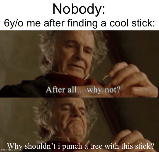 Cool stick | Nobody:; 6y/o me after finding a cool stick:; Why shouldn’t i punch a tree with this stick? | image tagged in after all why not,memes,funny,relatable,childhood | made w/ Imgflip meme maker