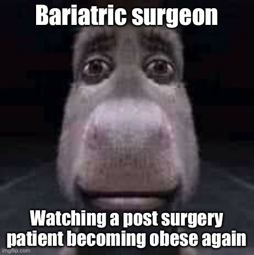 Still obese | Bariatric surgeon; Watching a post surgery patient becoming obese again | image tagged in donkey staring,obesity,surgeon | made w/ Imgflip meme maker