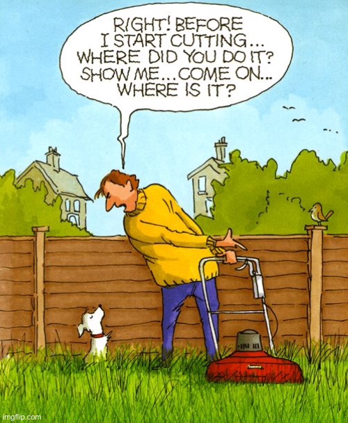 Before grass cutting | image tagged in grass cutting,dog,where is the crap,show me,comics | made w/ Imgflip meme maker