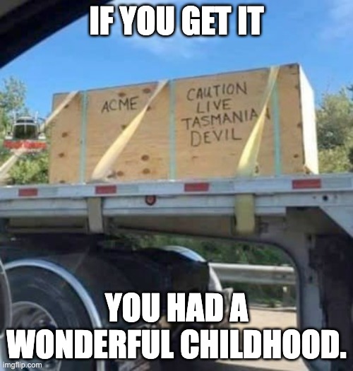 Taz | IF YOU GET IT; YOU HAD A WONDERFUL CHILDHOOD. | image tagged in dad joke | made w/ Imgflip meme maker