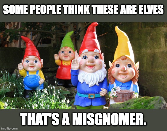 Gnomes | SOME PEOPLE THINK THESE ARE ELVES; THAT'S A MISGNOMER. | image tagged in gnomes | made w/ Imgflip meme maker
