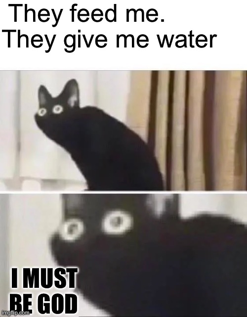 Oh No Black Cat | They feed me. They give me water; I MUST BE GOD | image tagged in oh no black cat | made w/ Imgflip meme maker
