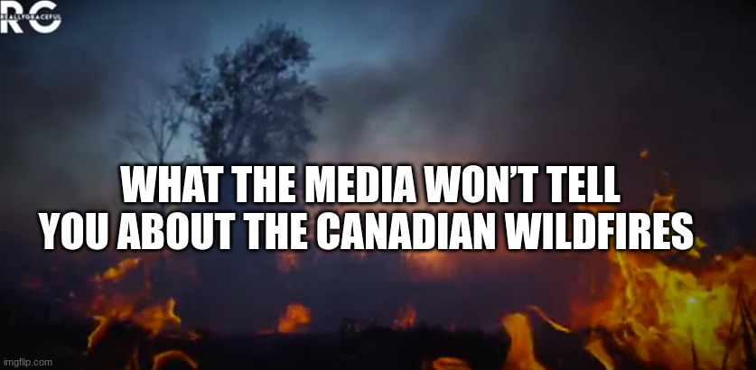 What The Media Won T Tell You About The Canadian Wildfires Video Alternative Before It S News