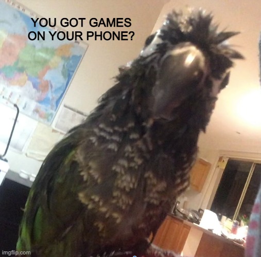 Bird peeking template (it's my bird) | YOU GOT GAMES ON YOUR PHONE? | image tagged in peeking bird | made w/ Imgflip meme maker